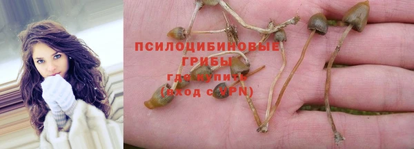 МДПВ Бугульма