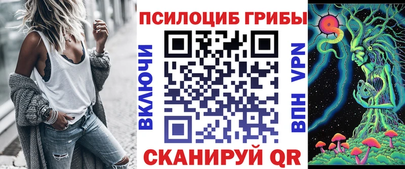 Купить закладки  Невьянск  Галлюциногенные грибы мицелий 